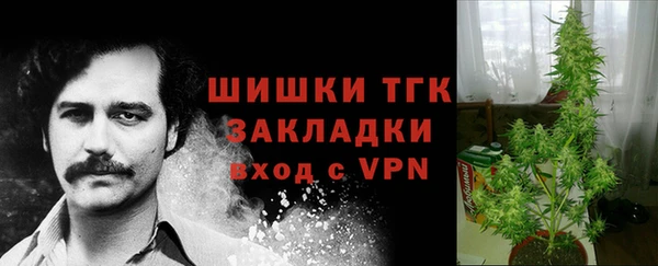 стаф Михайлов