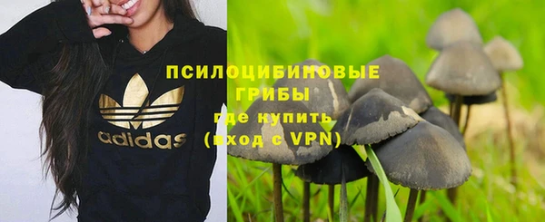 стаф Михайлов