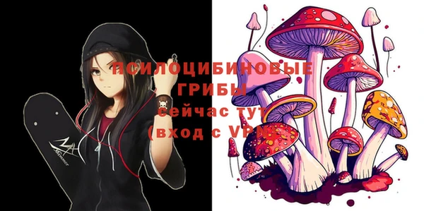 эйфоретик Михайловка