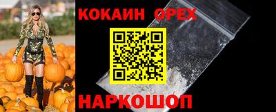 прущие грибы Кандалакша