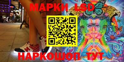 прущие грибы Кандалакша