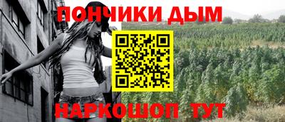 прущие грибы Кандалакша