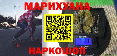 прущие грибы Кандалакша
