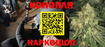 прущие грибы Кандалакша
