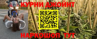 прущие грибы Кандалакша