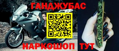 прущие грибы Кандалакша