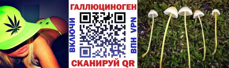 Галлюциногенные грибы GOLDEN TEACHER  Электросталь 