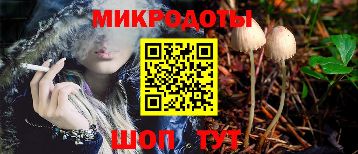как найти наркотики  Электросталь  Псилоцибиновые грибы MAGIC MUSHROOMS 