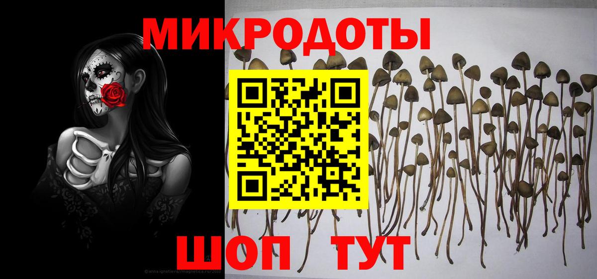 Галлюциногенные грибы Psilocybe Электросталь